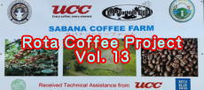 Rota Coffee Project��13�e