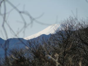 黒山から見た富士山