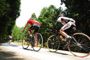 常磐林道と自転車