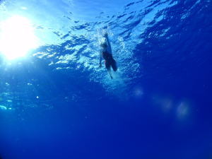 海底から見た太陽とスイマーとロタブルー