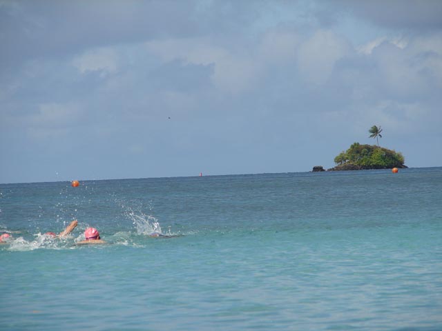 Palau Shell Rainbow Swim