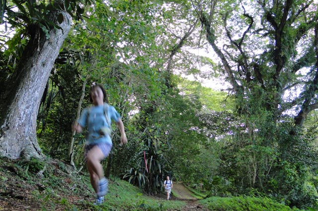 Mariana Coffee Trail Run