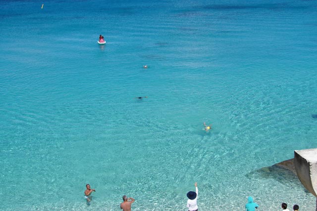 Tinian Turquoise Blue Reef Swim